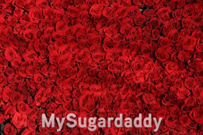 Sugardaddy verliebt sich